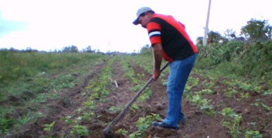 Tierras ociosas 