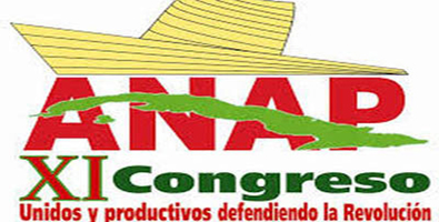 ANAP en Congreso 