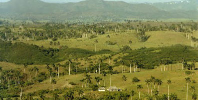 Valle del Yumurí
