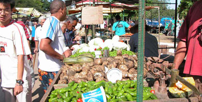 Ventas del sector agropecuario al turístico en Ciego de Ávila