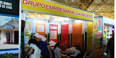 Grupo Empresarial Ganadero