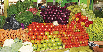 Exportación agroalimentaria