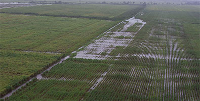 Inundaciones por la tormenta subtropical Alberto