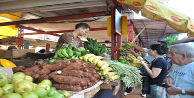 Cuenta propista en Cuba 