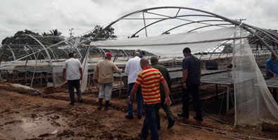 Recuperación en Pinar del Río tras huracán Michael