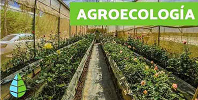 Agricultura sostenible y cooperativismo