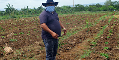 Productores agropecuarios