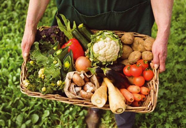 Sustentar, desde lo legal, los sistemas y procesos alimentarios