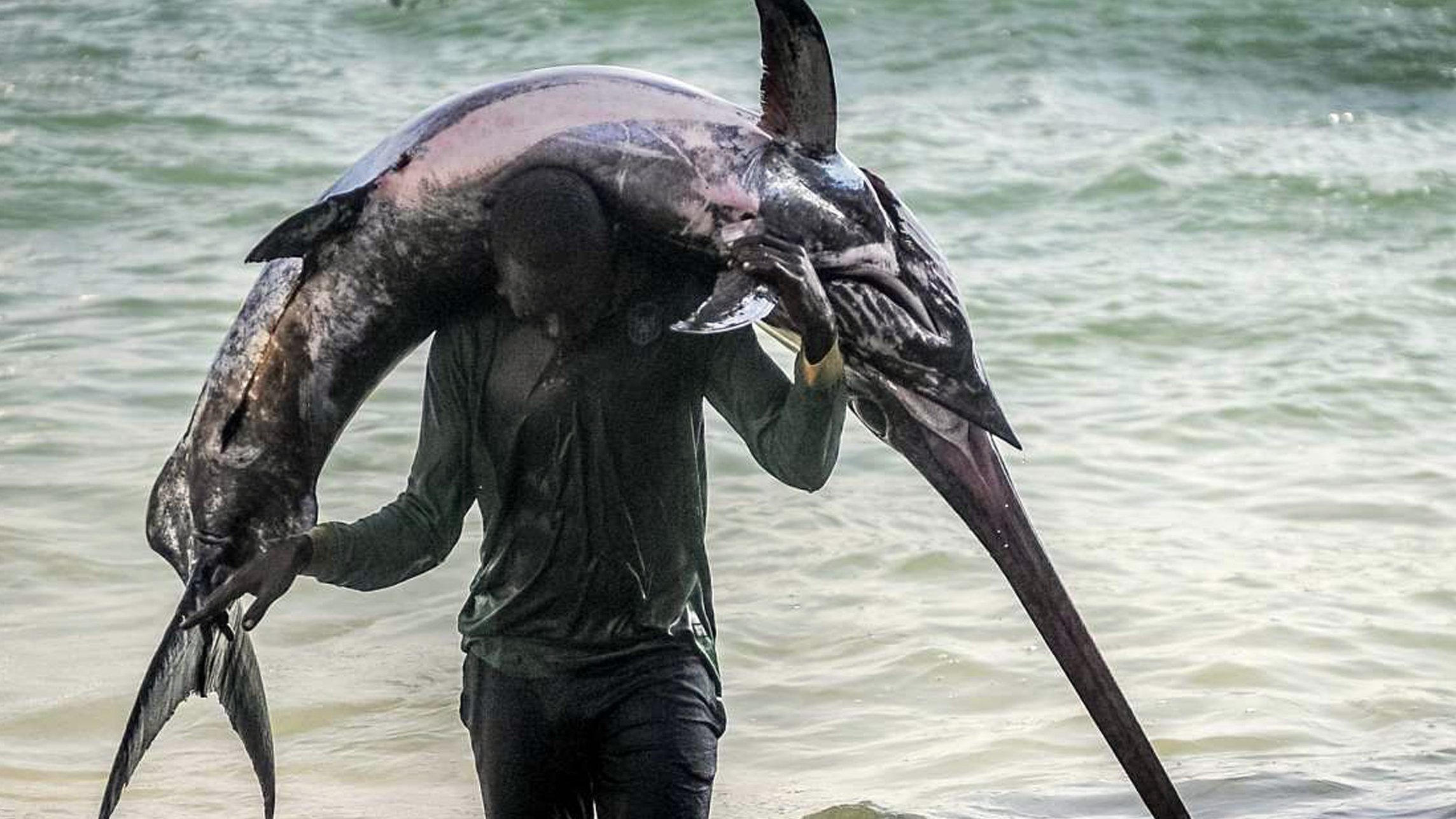 Alimentos desde el mar