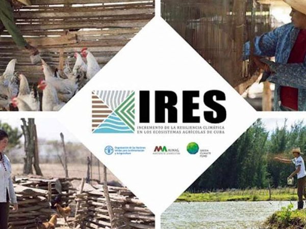 Proyecto IRES, apuntar a dos dianas