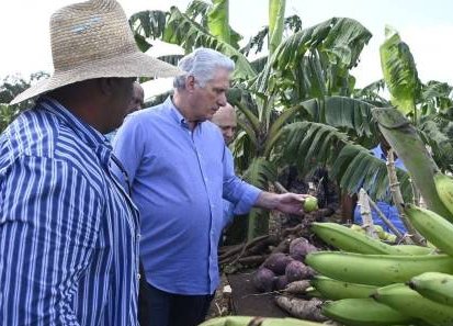 Trabajando y creando las riquezas necesarias es como Cuba saldrá adelante