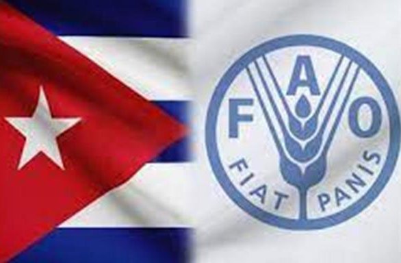 Recomienda FAO impulso de agroecología en Cuba