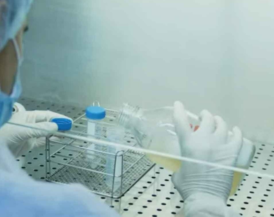 Nueva iniciativa apuesta por la protección de la biodiversidad