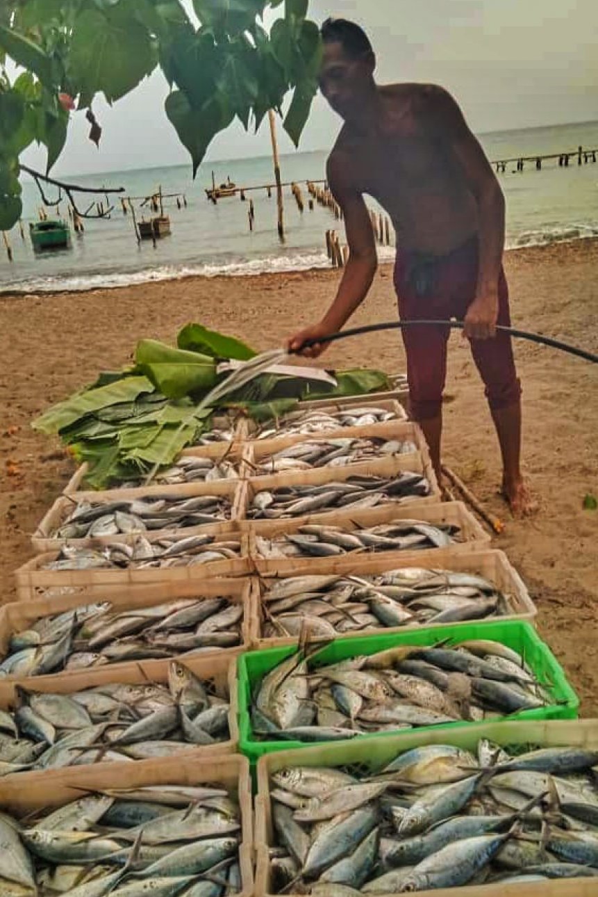 Pesca, raíces y compromiso social en Guamá
