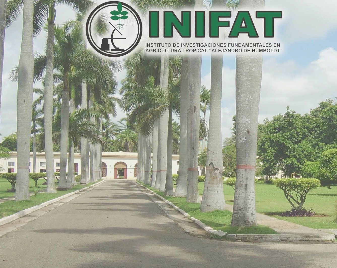 Colaboración internacional para la agricultura