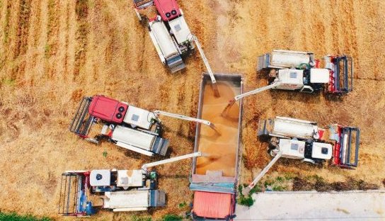 Agricultura junkie: La crisis en Ormuz expone la fragilidad del sistema alimentario global