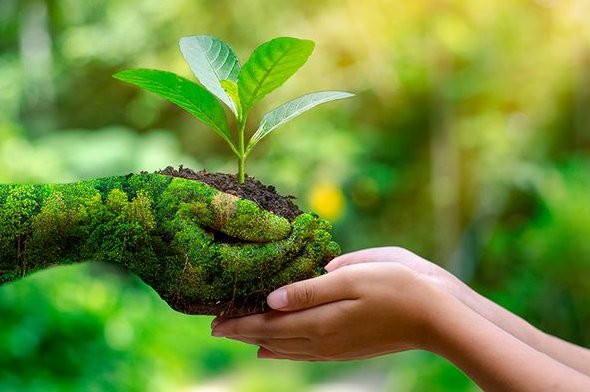 Política ambiental sigue siendo una prioridad del Estado cubano