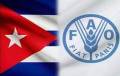 Reconoce Cuba apoyo de la FAO a la isla