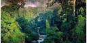 Amazonia