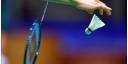 Torneo de badminton 