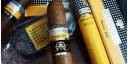 XIV Festival del Habano 