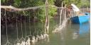 Pesca de ostiones