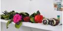 Flores