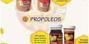 Beneficios del propóleo 