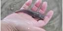 Cultivo de clarias