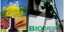 Biocombustible