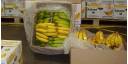 Banano