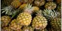 Por el camino de los frutales