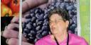Empresa Productora y Comercializadora de Semillas