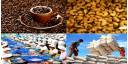 Productos agrícolas vietnamitas