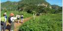 Viajes Ecotur 