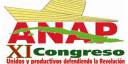 ANAP en Congreso 