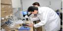 Cuba - China Biotecnología