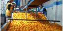 Frutas y hortalizas