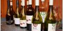 Vinos Matetic