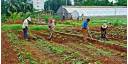 Agroecología en Cuba