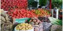 Agencias de Naciones Unidas y Cuba por seguridad alimentaria