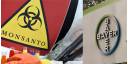 Bayer-Monsanto