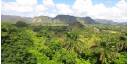 Desarrollo forestal