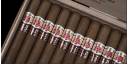 Hoyo de Monterrey Escogidos