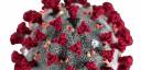 El coronavirus y la Doctrina del shock