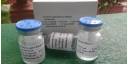 Se prepara la India para probar Itolizumab, la droga acreditada por reducir la mortalidad por COVID-19 en Cuba