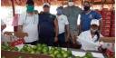 Aguacates Catalina