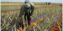 Agricultura, invertir para mañana