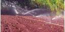 Hacer ciencia desde y para el campo
