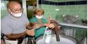Inseminación artificial de Granma apuesta por el desarrollo
